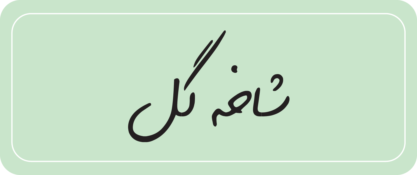 شاخه گل