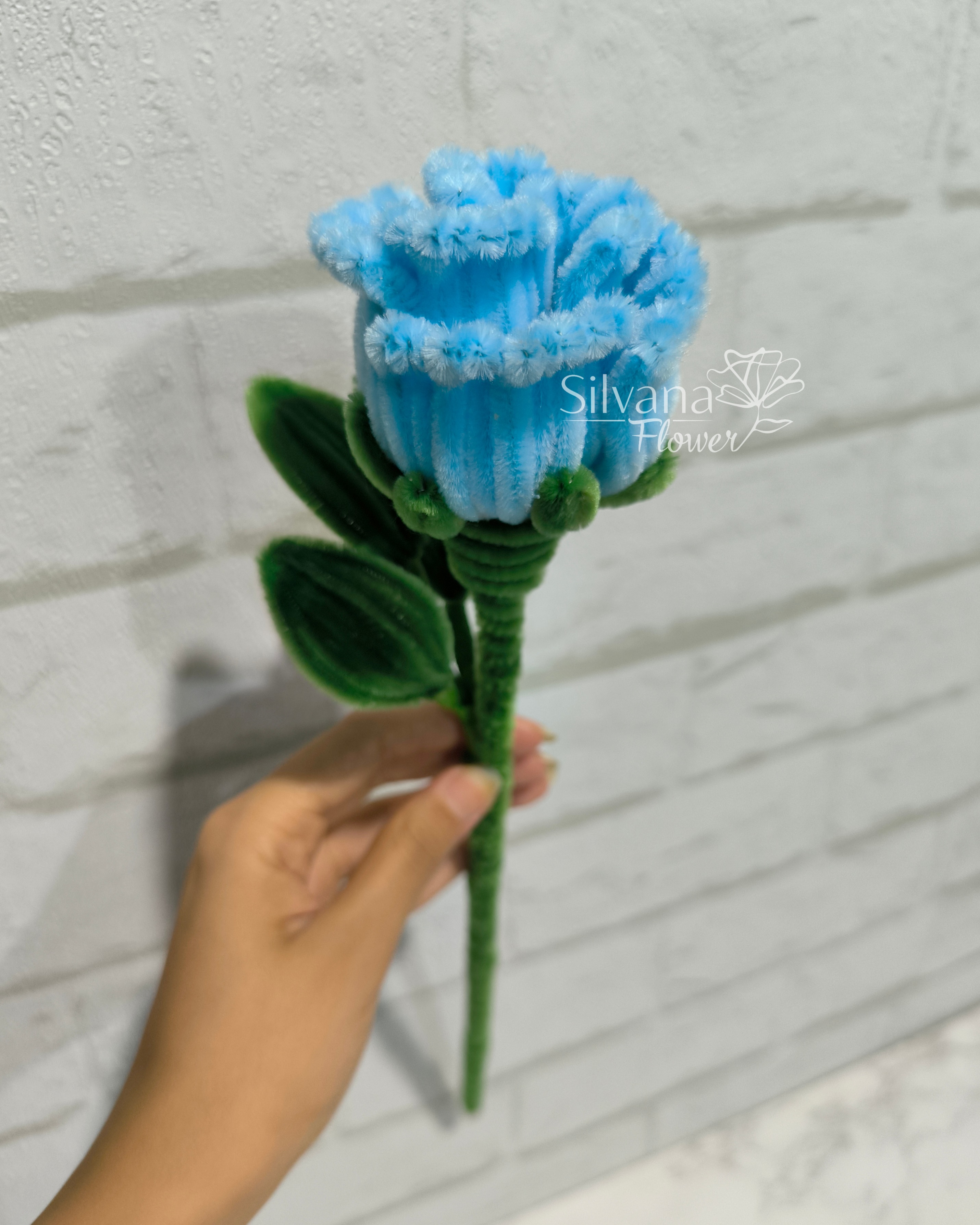 تک شاخه رز